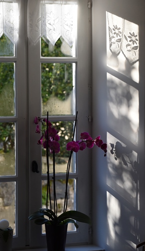 maison d'htes en ossau